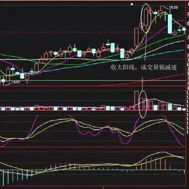 最新牛散持股一覽表，揭示市場主力動(dòng)向