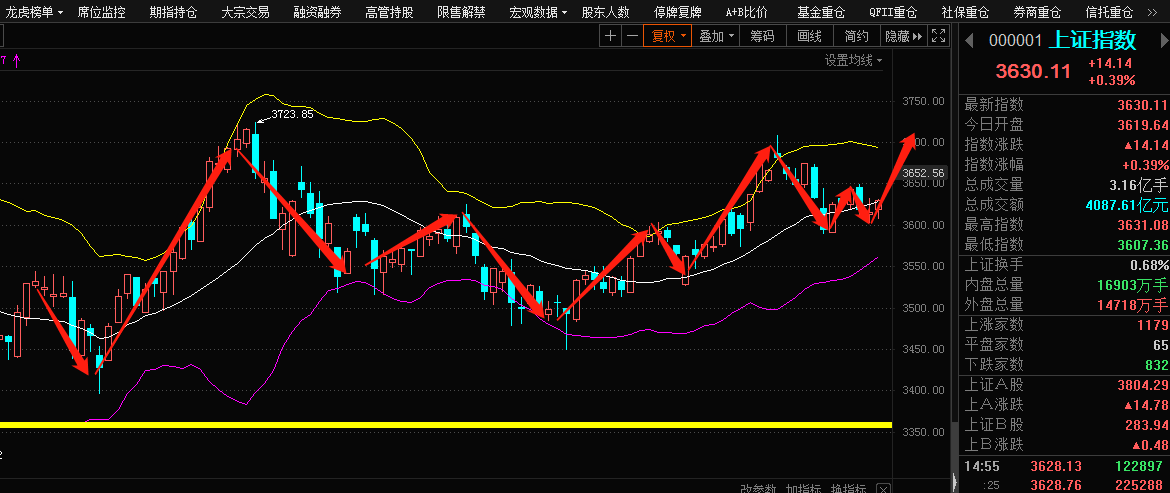 股票行情最新消息，市場(chǎng)走勢(shì)分析與預(yù)測(cè)