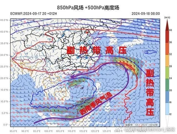 十六號(hào)臺(tái)風(fēng)最新消息，全方位解析與應(yīng)對(duì)策略