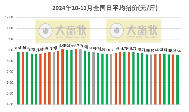 第8頁(yè)